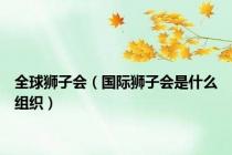 全球狮子会（国际狮子会是什么组织）