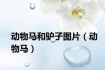 动物马和驴子图片（动物马）