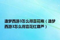 造梦西游3怎么得宣花袍（造梦西游3怎么得宣花红葫芦）