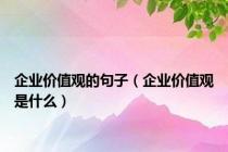 企业价值观的句子（企业价值观是什么）