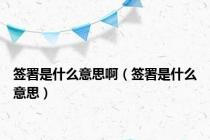 签署是什么意思啊（签署是什么意思）