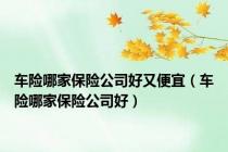 车险哪家保险公司好又便宜（车险哪家保险公司好）