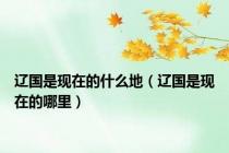 辽国是现在的什么地（辽国是现在的哪里）