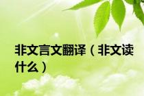 非文言文翻译（非文读什么）