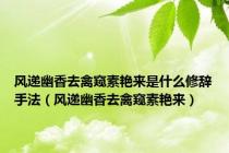 风递幽香去禽窥素艳来是什么修辞手法（风递幽香去禽窥素艳来）