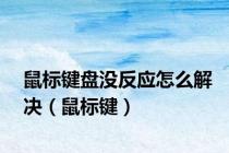 鼠标键盘没反应怎么解决（鼠标键）
