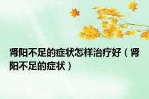 肾阳不足的症状怎样治疗好（肾阳不足的症状）