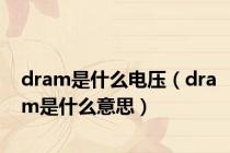 dram是什么电压（dram是什么意思）