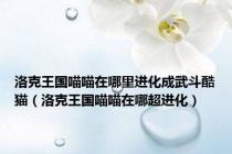 洛克王国喵喵在哪里进化成武斗酷猫（洛克王国喵喵在哪超进化）