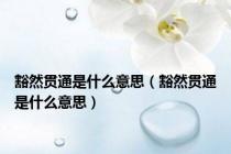 豁然贯通是什么意思（豁然贯通是什么意思）