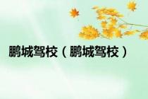 鹏城驾校（鹏城驾校）
