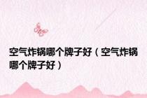 空气炸锅哪个牌子好（空气炸锅哪个牌子好）