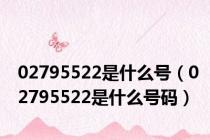 02795522是什么号（02795522是什么号码）