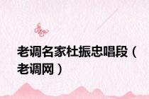 老调名家杜振忠唱段（老调网）