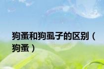 狗蚤和狗虱子的区别（狗蚤）