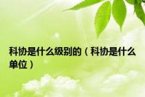 科协是什么级别的（科协是什么单位）