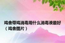 鸡舍带鸡消毒用什么消毒液最好（鸡舍图片）