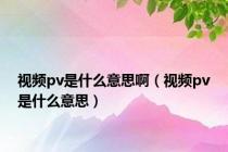 视频pv是什么意思啊（视频pv是什么意思）