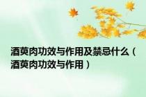 酒萸肉功效与作用及禁忌什么（酒萸肉功效与作用）
