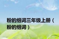 粉的组词三年级上册（粉的组词）