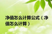 净值怎么计算公式（净值怎么计算）