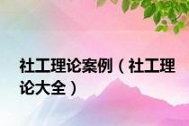 社工理论案例（社工理论大全）