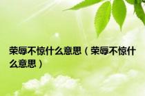 荣辱不惊什么意思（荣辱不惊什么意思）