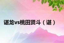 谌龙vs桃田贤斗（谌）
