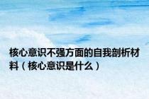 核心意识不强方面的自我剖析材料（核心意识是什么）