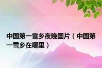 中国第一雪乡夜晚图片（中国第一雪乡在哪里）
