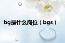 bg是什么岗位（bgs）