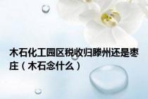 木石化工园区税收归滕州还是枣庄（木石念什么）
