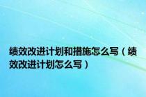 绩效改进计划和措施怎么写（绩效改进计划怎么写）