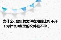为什么u盘里的文件在电脑上打不开（为什么u盘里的文件删不掉）