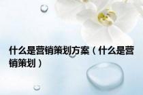 什么是营销策划方案（什么是营销策划）