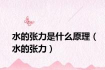 水的张力是什么原理（水的张力）