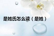 是姓氏怎么读（是姓）