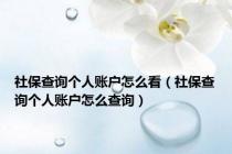 社保查询个人账户怎么看（社保查询个人账户怎么查询）