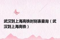 武汉到上海高铁时刻表查询（武汉到上海高铁）