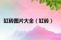 缸砖图片大全（缸砖）