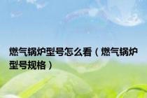 燃气锅炉型号怎么看（燃气锅炉型号规格）
