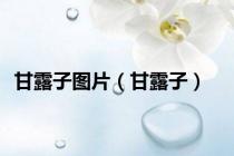 甘露子图片（甘露子）