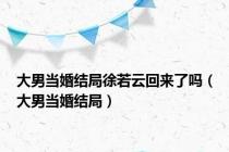 大男当婚结局徐若云回来了吗（大男当婚结局）