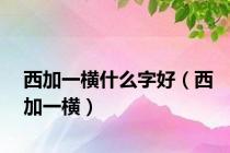 西加一横什么字好（西加一横）