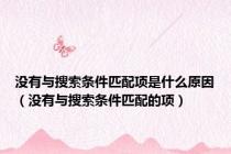 没有与搜索条件匹配项是什么原因（没有与搜索条件匹配的项）