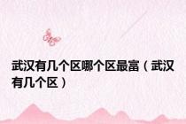 武汉有几个区哪个区最富（武汉有几个区）