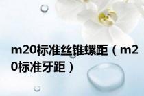 m20标准丝锥螺距（m20标准牙距）