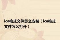 ica格式文件怎么安装（ica格式文件怎么打开）