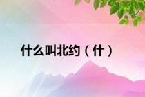 什么叫北约（什）