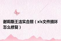 谢莉斯王洁实合照（xls文件损坏怎么修复）